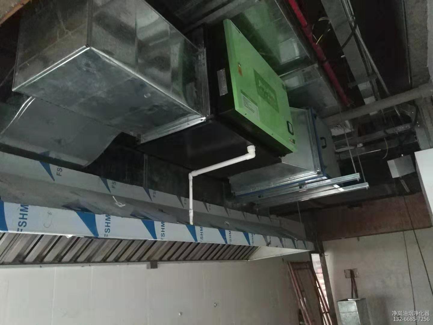 广州番禺区·广州梁氏鹅城·8000风量油烟净化器安装案例