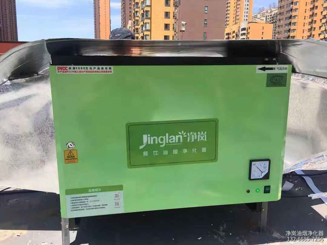 重庆市渝北区·红江景烤全羊餐厅·6000风量油烟净化器安装案例